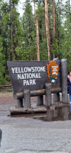 Yellowstone 3
